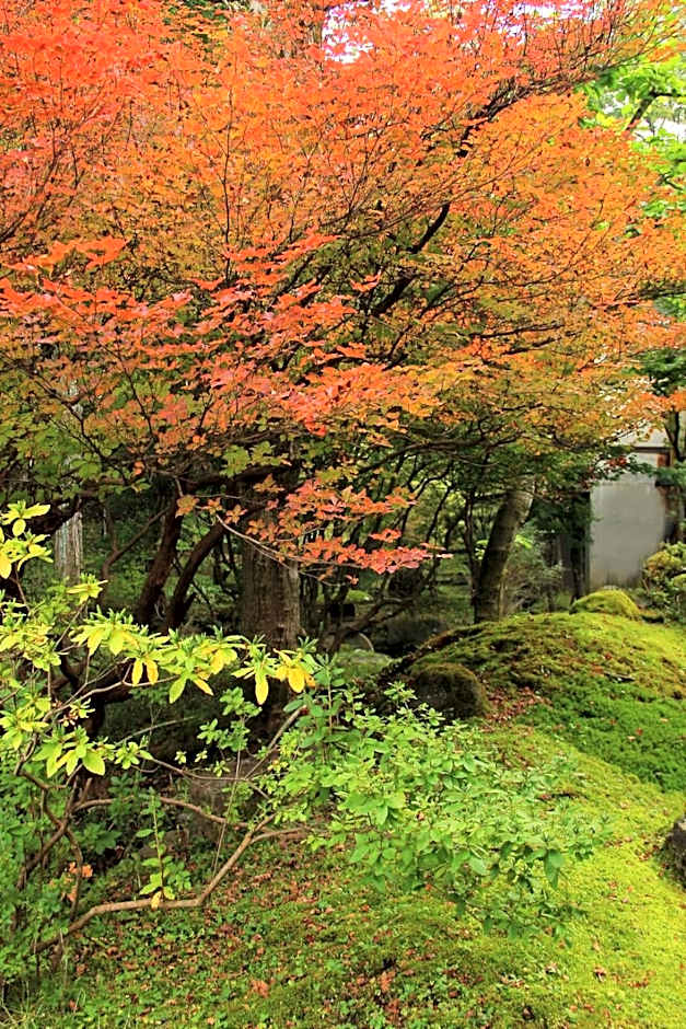 Nikko Hoshino Yado