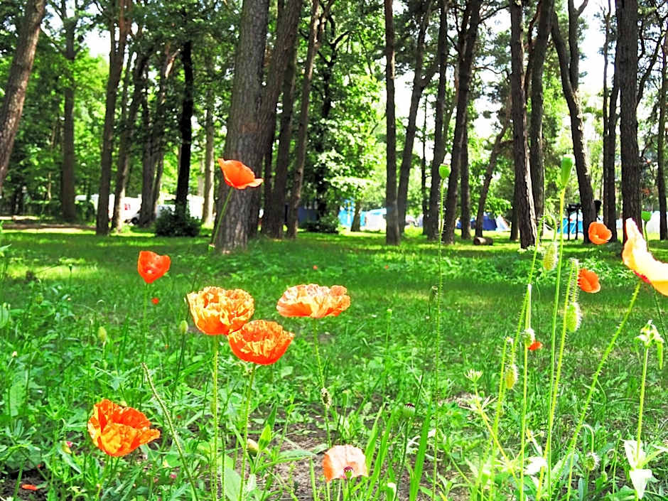 Sopot 34 przy plaży