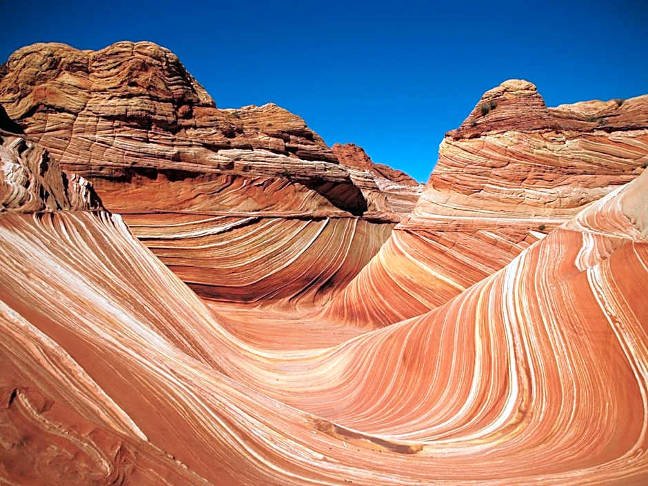 Best Western View Of Lake Powell Hotel
