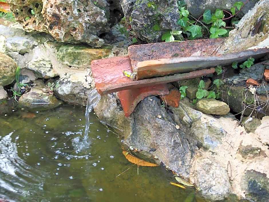 El Rincón de Escalante