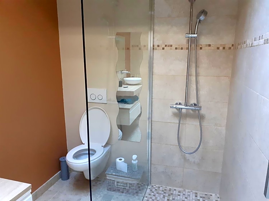Centre ville, chambre indépendante 20m2 et sa salle de bain privée