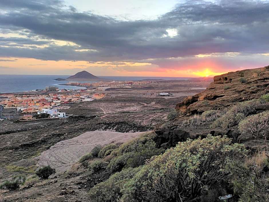 Aloe Vera Shared House