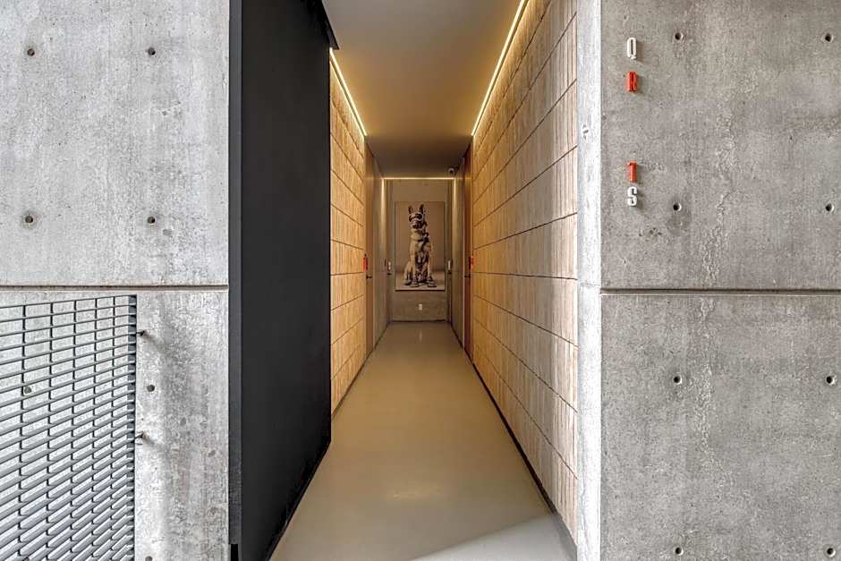 Boga Mexico City by Lumina