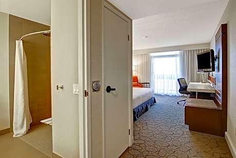 Deluxe Room With 1 King Bed