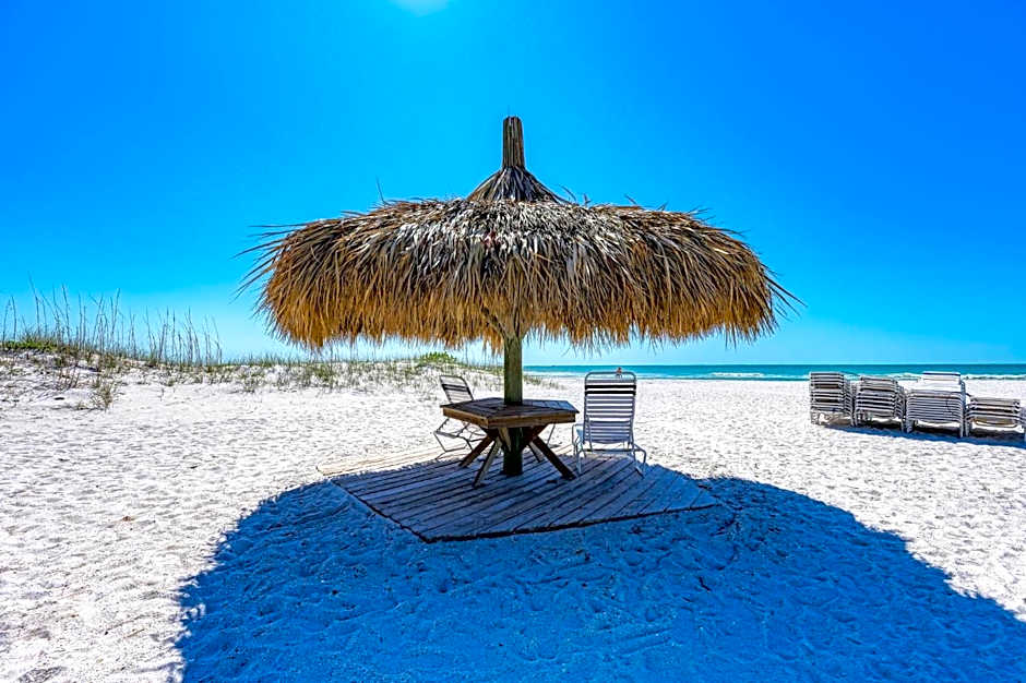Anna Maria Island Beach Palms 5B