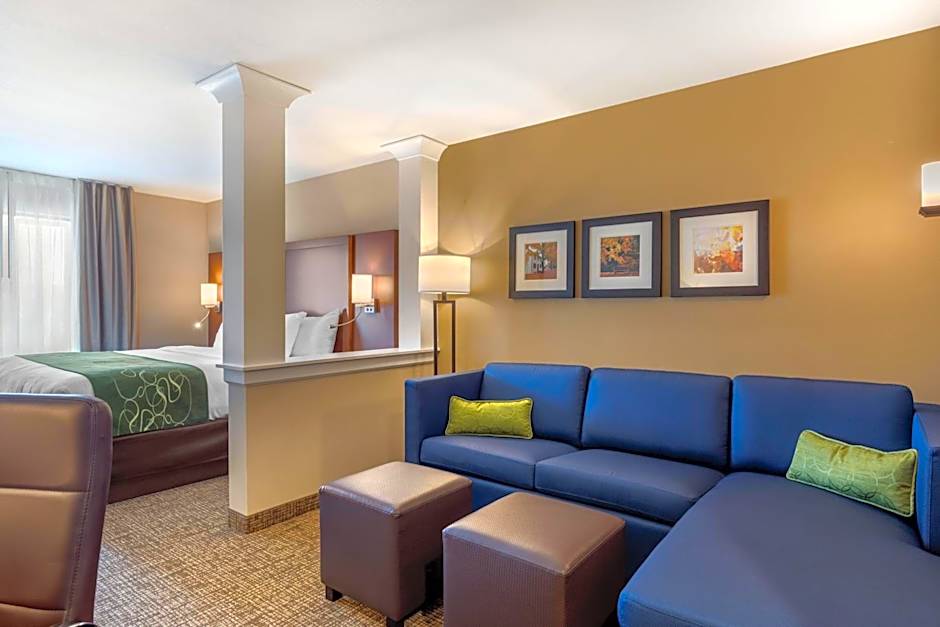 Comfort Inn & Suites Schenectady - Scotia