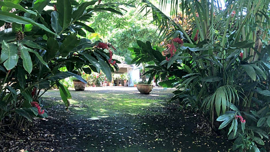 Martinique Treehouse