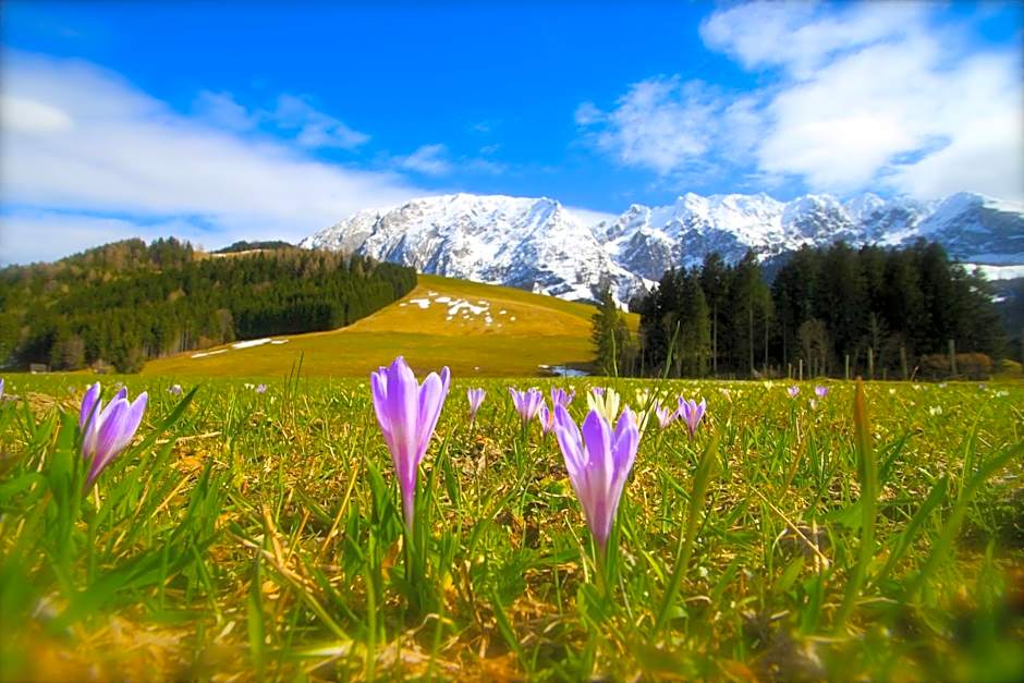 Appartements-Restaurant Schwaiger