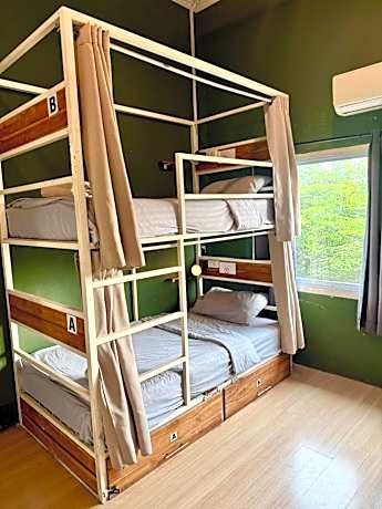Bunk Bed in Mixed Dormitory Room