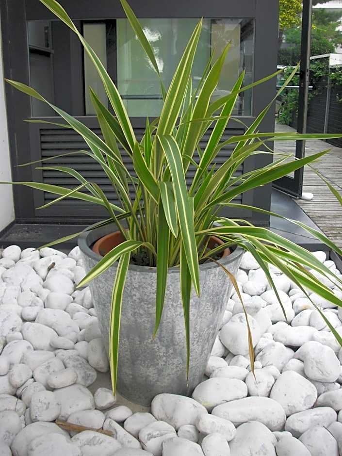 Hotel Garden