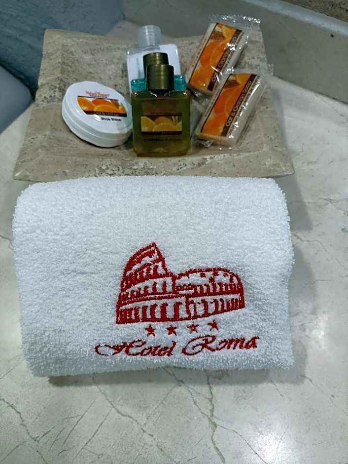 Roma Guadalajara in downtown
