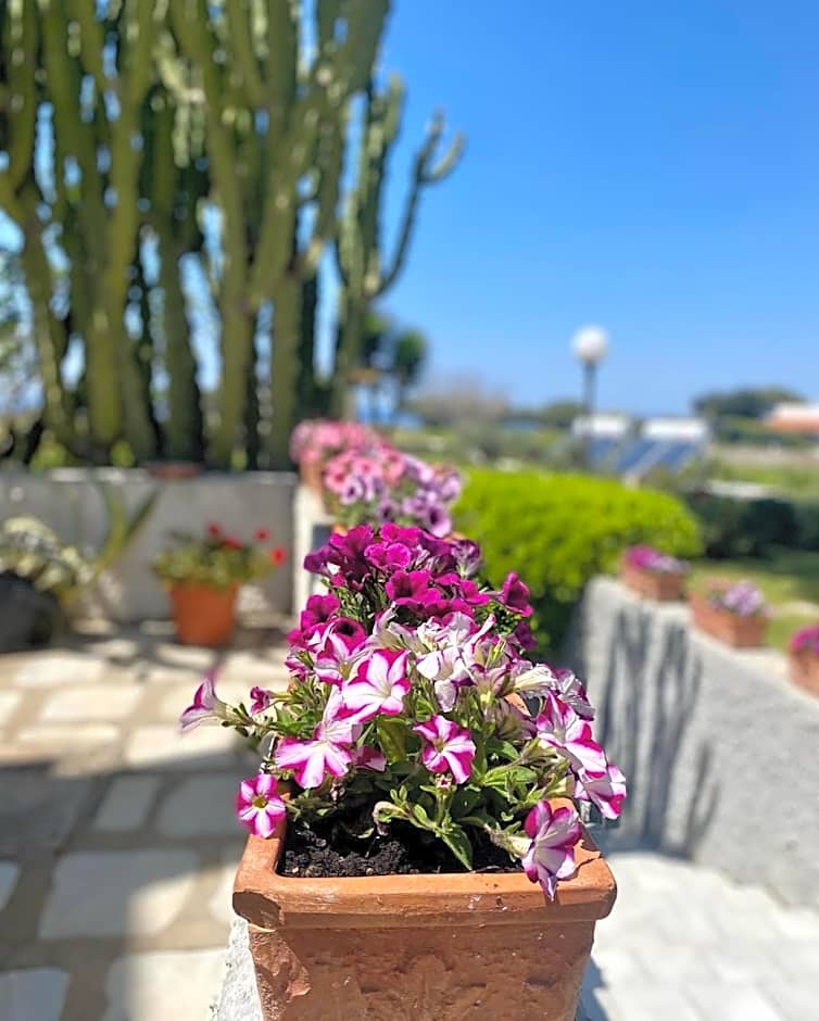 Hotel Boutique Ideal