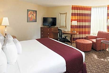 King Room with Mobility Accessible Tub
