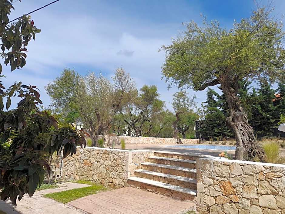 Nissi Collection Rooms