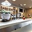Ibis Plzen