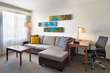 King Studio Suite with Sofa Bed and Roll-in Shower - Mobility and Hearing Accessible