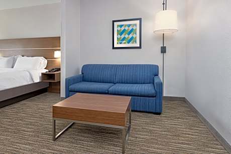 1 King Bed Suite Comm Accessible Tub
