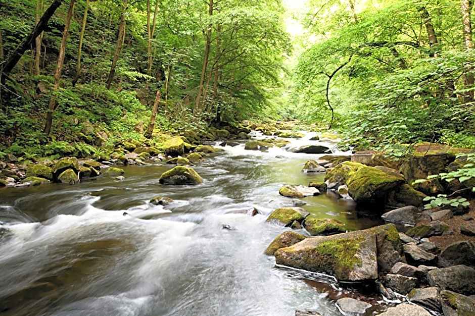Schloss Kirchham Appartement - & Wellnessanlage