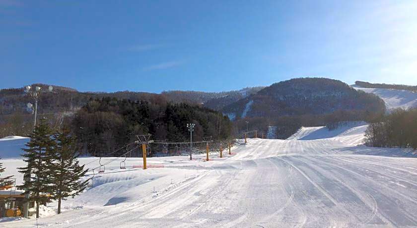 Art Hotel Asahikawa