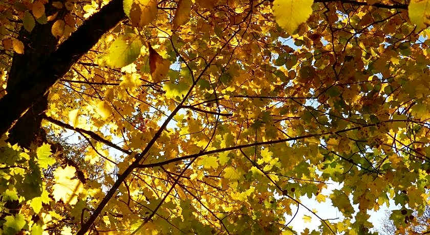 Art House Domaine de l'Ocrerie