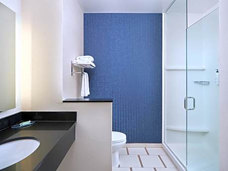 Queen Room with Sofa Bed and Roll-In Shower - Mobility/Hearing Accessible