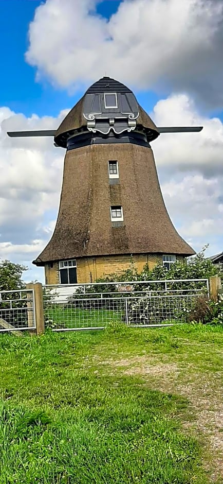 Het Bijenweitje - The Little Bee Meadow