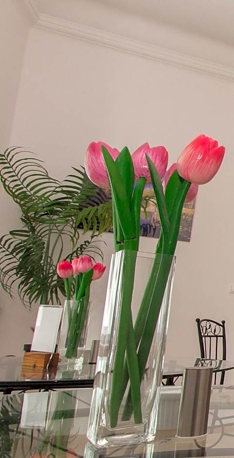 Butterfly Home Danube