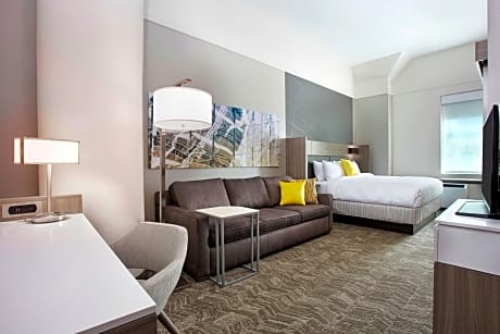 Executive Suite, 1 King Bed with Sofa bed (1 King Bed and 1 Double Sofa Bed)