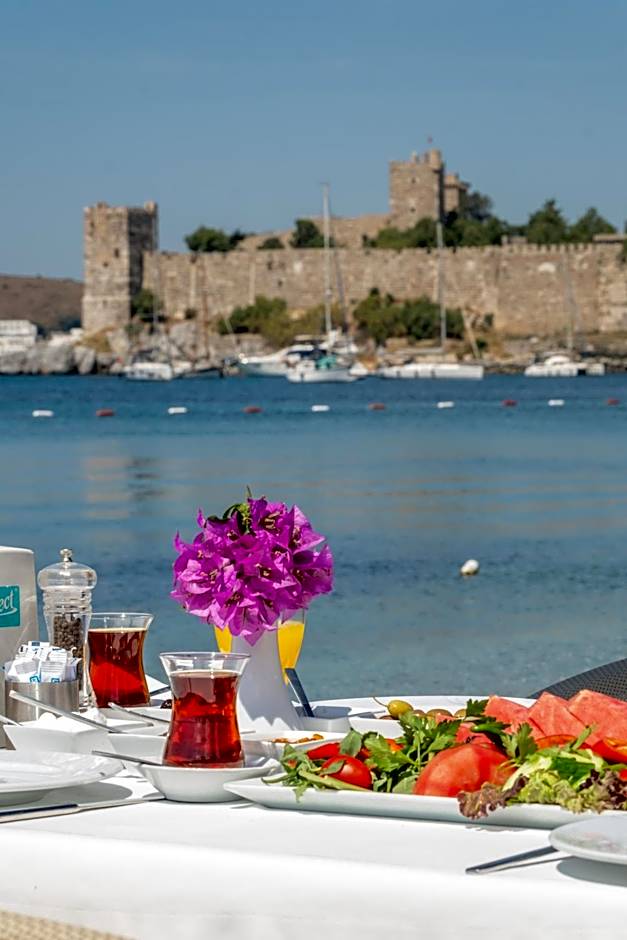 Artemis Hotel