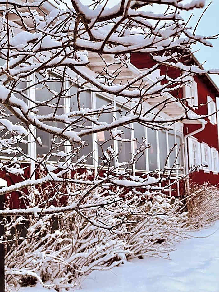 Hotell Gyllene Hornet