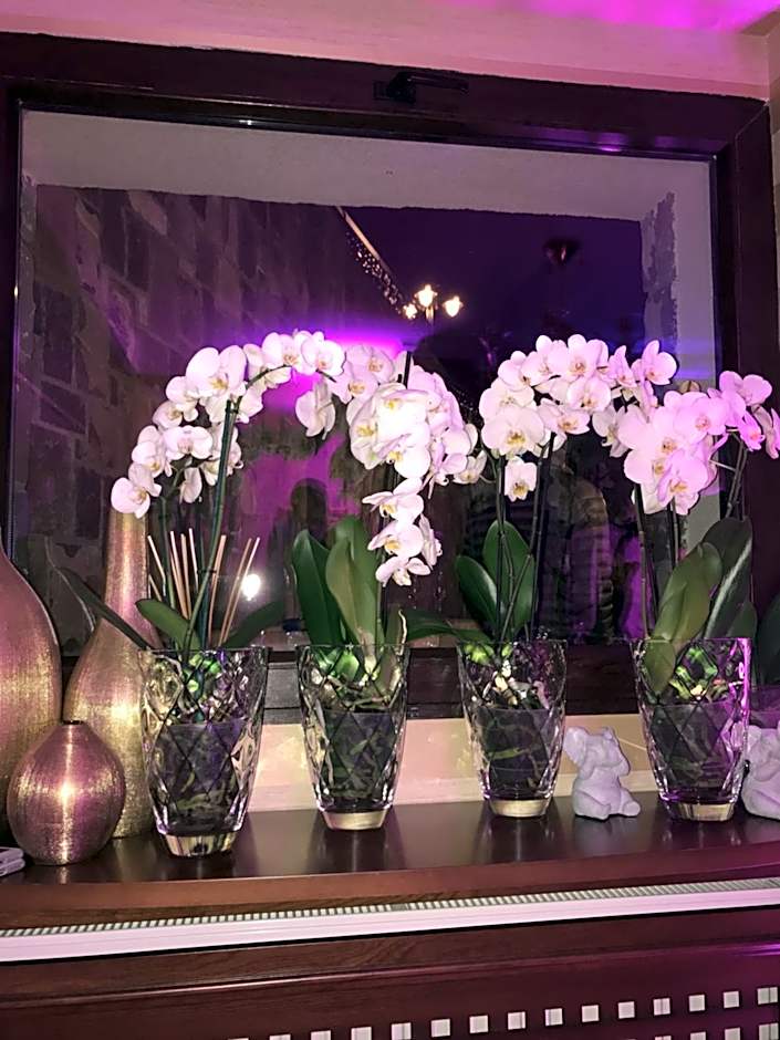 Hotel Boutique Belvedere