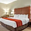 Comfort Inn & Suites Clemson - University Area 