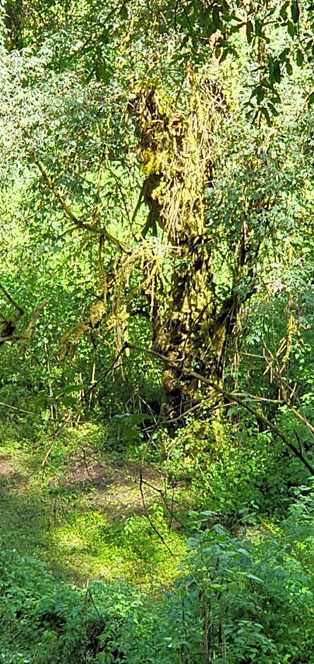 Hotel Rancho Escondido