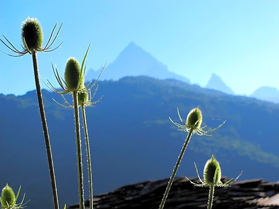 Rifugio Galaberna