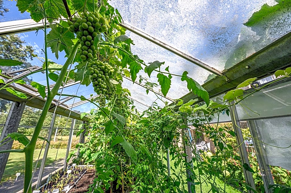 Bed and Breakfast Ineke en John
