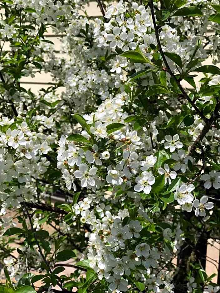 Our Valley View Bed & Breakfast