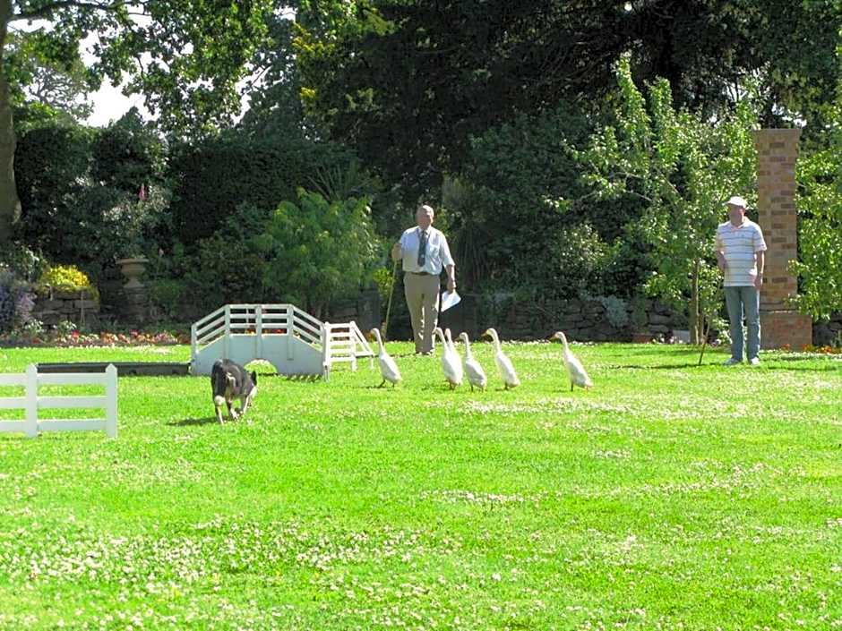 Willington Hall Hotel