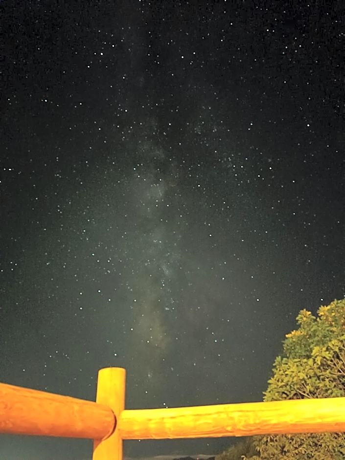 Αρκαδικόν Μέλαθρον