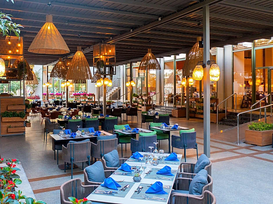 Arum Barut Collection