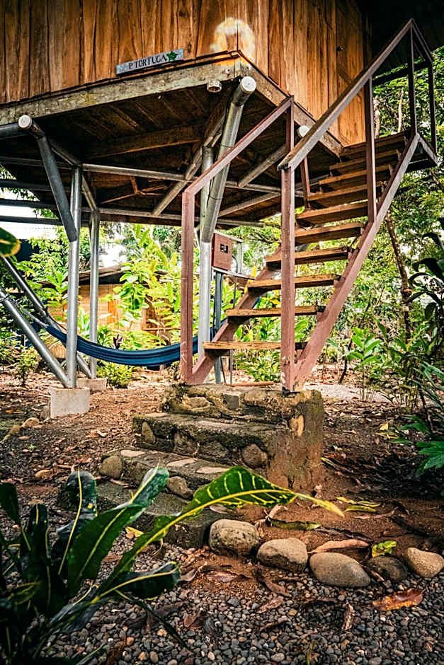 Flutterby House Hostel