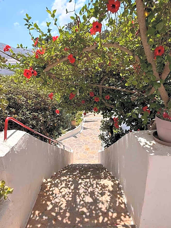 Anna Studios