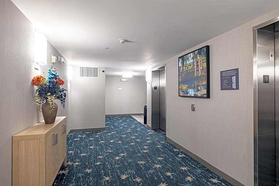 Hilton Garden Inn Albany