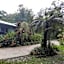 Daintree Rainforest Accommodation