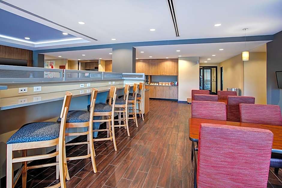 TownePlace Suites by Marriott Detroit Belleville