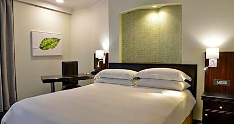 Superior Family Suite
