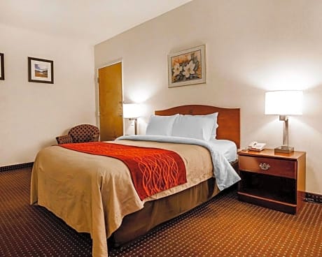 Queen Room - Disability Access/Non-Smoking