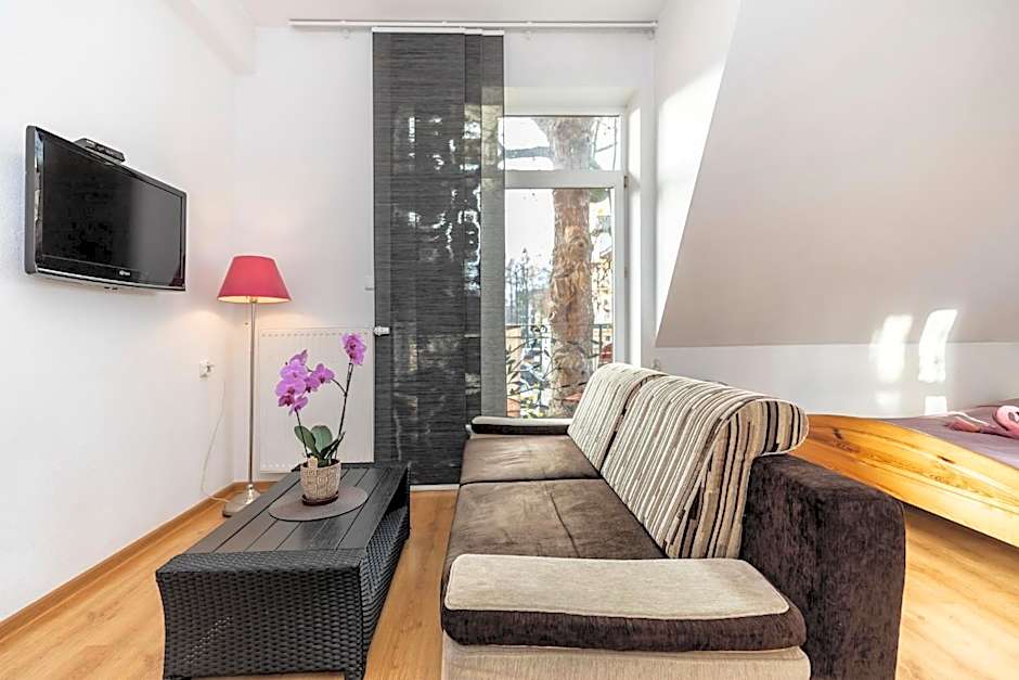 Brzoza w centrum Zakopanego