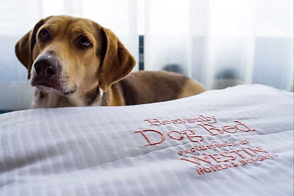 The Westin Crystal City