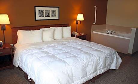 1 King Bed Deluxe Suite Non-Smoking