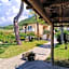 Villa Olivia Residence Ischia - nel Verde con Piscine e Vista Mare